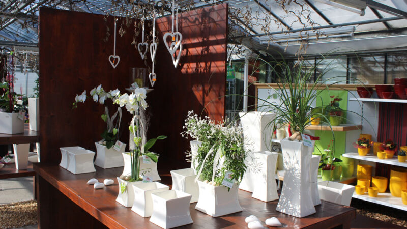 floristik-blumen-korner-1