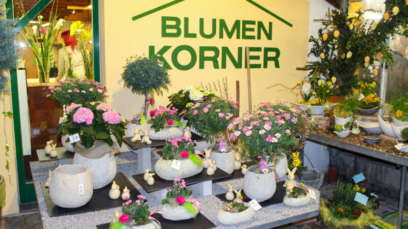 floristik-blumen-korner-3