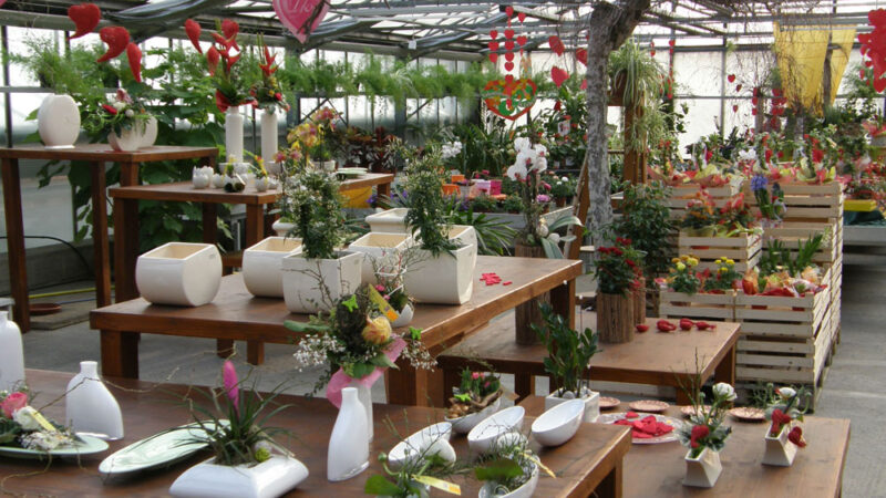 floristik-blumen-korner-6